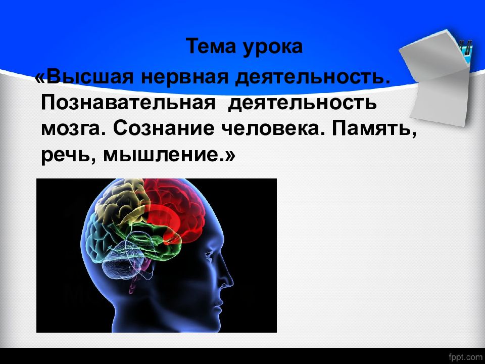 Нервная деятельность человека. Функции высшей нервной деятельности человека. Высшая нервная деятельность память. Процессы ВНД человека.