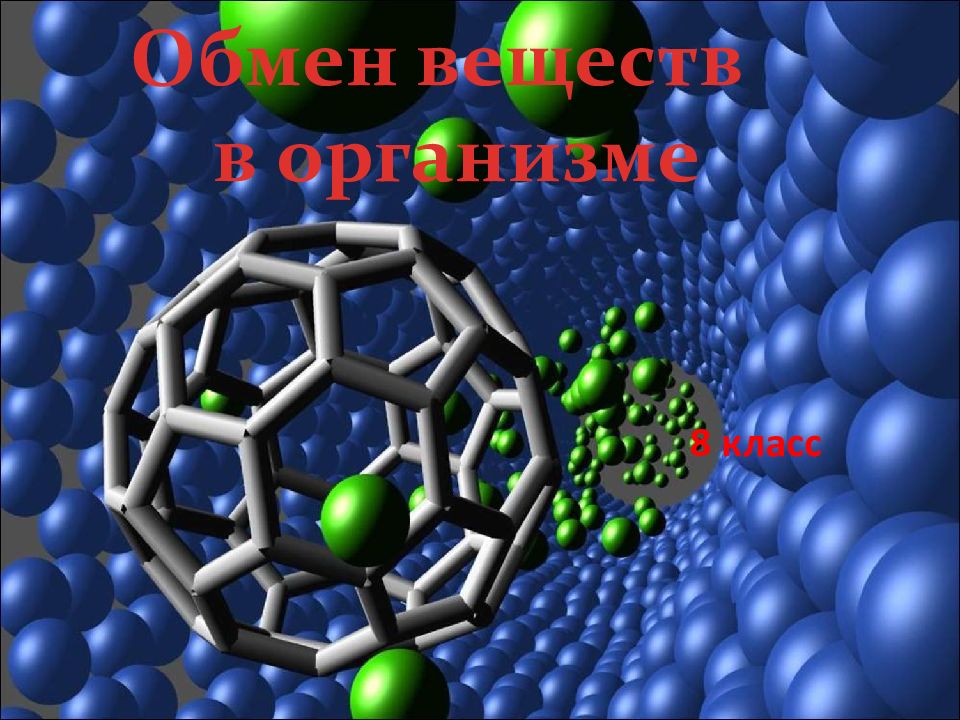 Обмен веществ в организме 8 класс