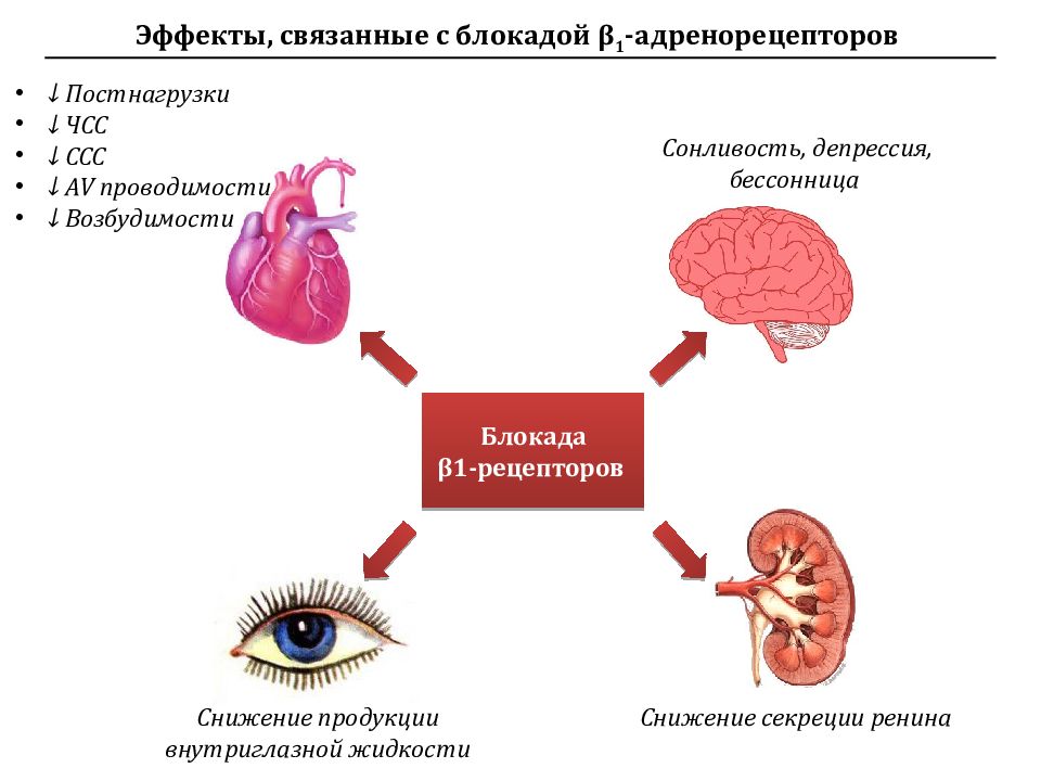 Сердечно сосудистые препараты презентация