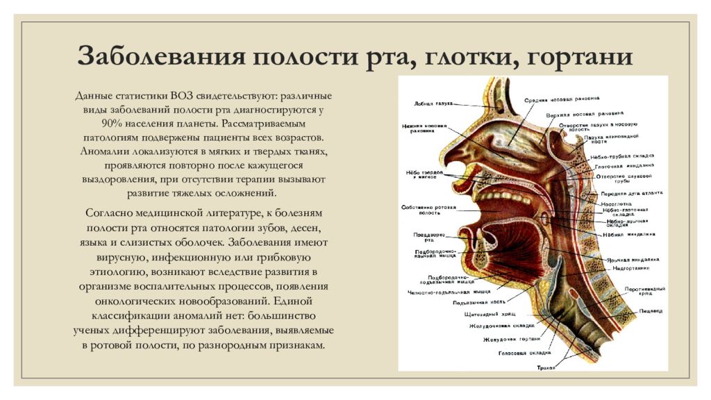 Нельзя полость. Заболевания полости рта и горла. Болезни глотки и гортани. Гортань и глотка заболевания.