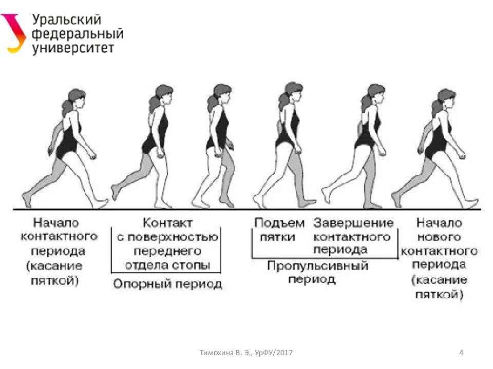 Биомеханика ходьбы. Фазы походки. Походка классификация. Виды походок. Типы походок у женщин.