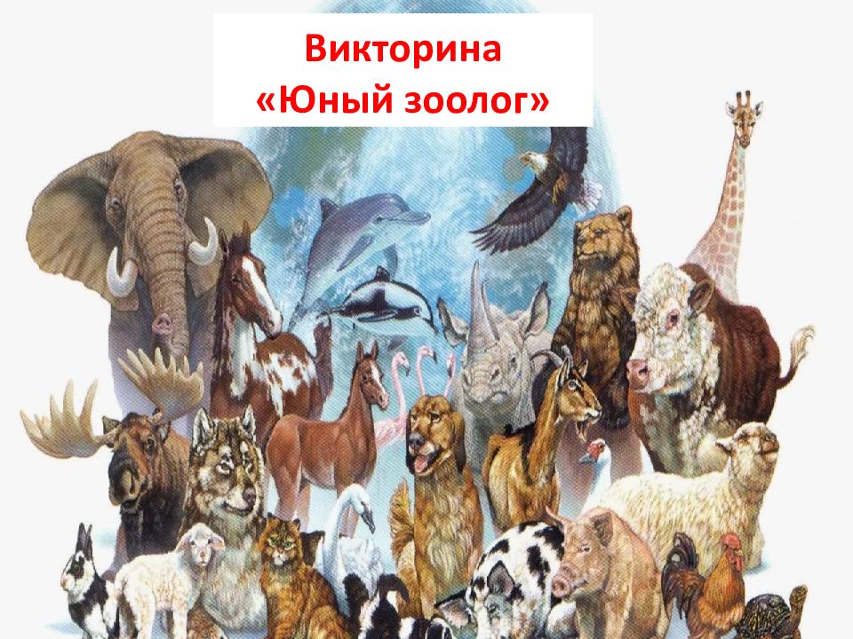 Викторина «Юный зоолог»