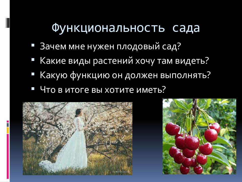 Зачем сад. Закладка плодового сада кратко. Закладка плодового сада презентация 7 класс.