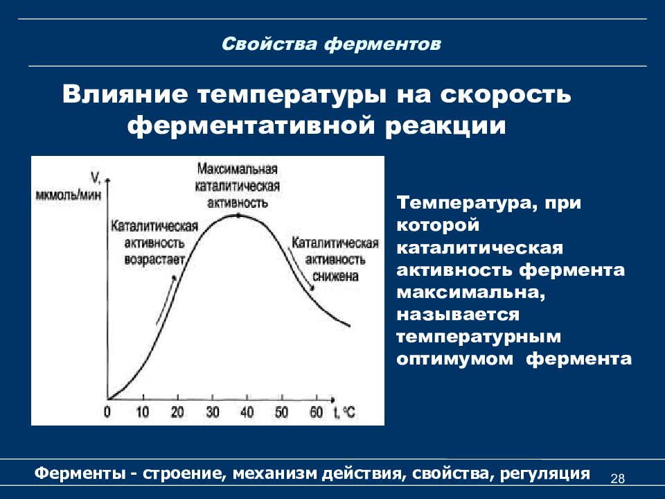 Схема ферментативной реакции