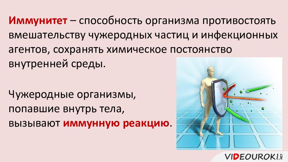 Как называют реакцию организма на