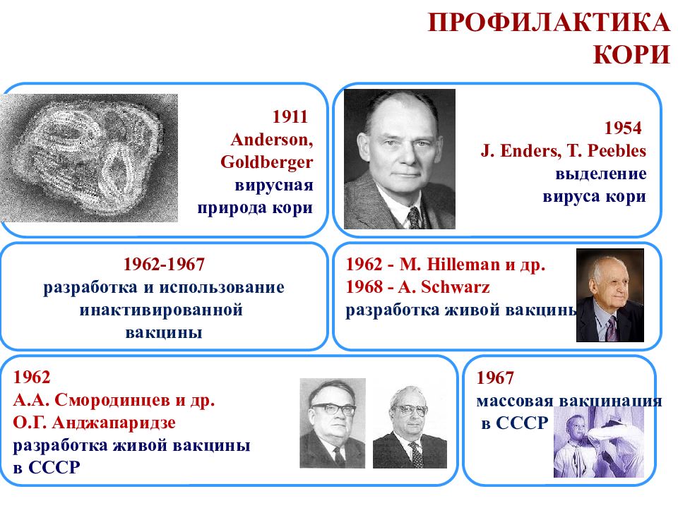 Презентация вирус кори