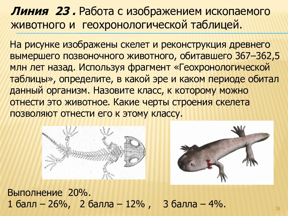 Какой тип развития характерен для черного толстохвостого скорпиона изображенного на рисунке