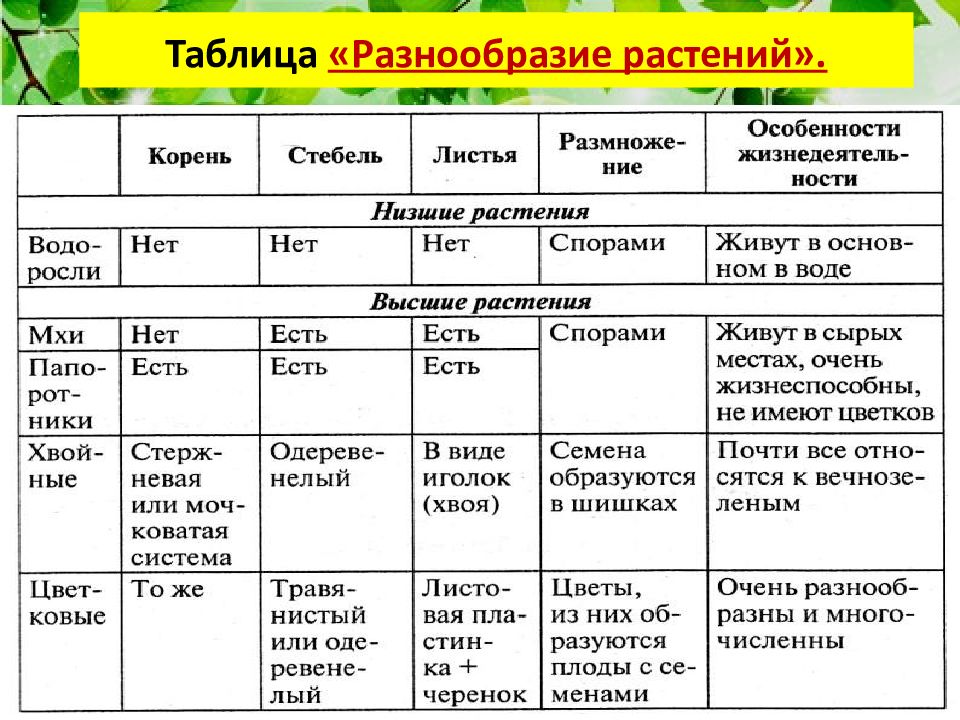 Приведите примеры типичных растений для представленных на рисунке типов растительного покрова