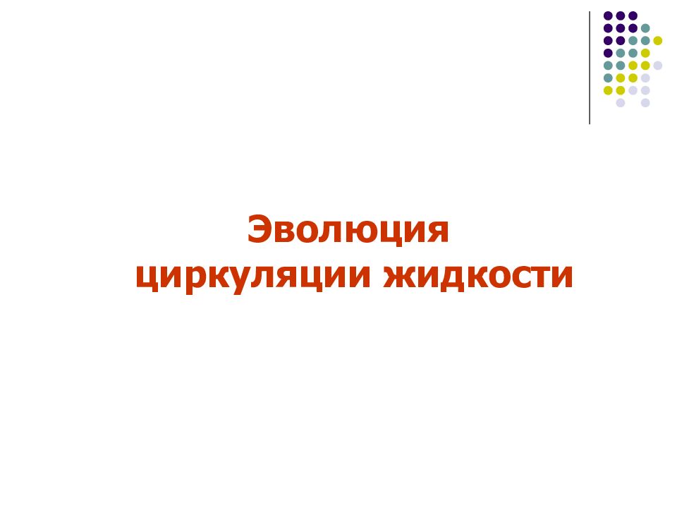 Эволюция циркуляции жидкости