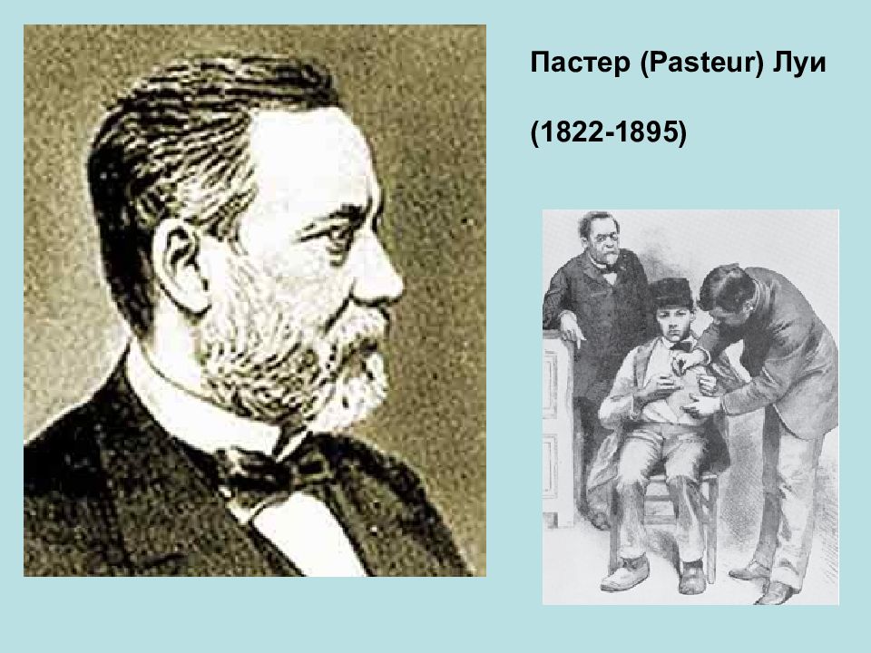 Луи пастер ресторан. Луи Пастер. Луи Пастер иммунология. Луи Пастер открытия. Луи Пастер смерть.