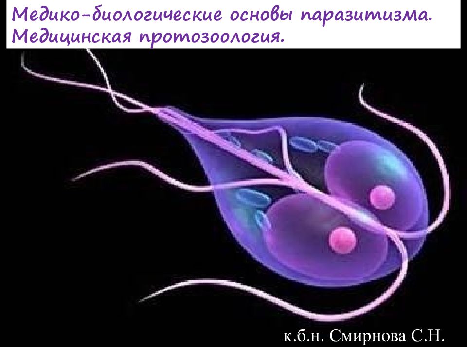 Медико-биологические основы паразитизма. Медицинская протозоология. к.б.н