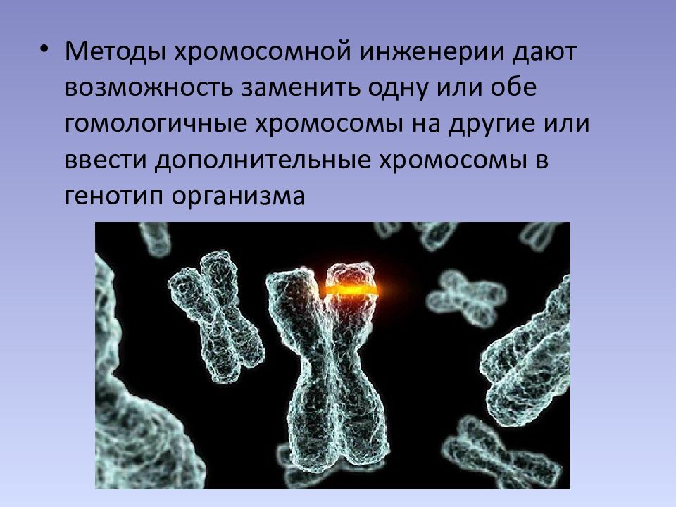 Клеточная и хромосомная инженерия презентация