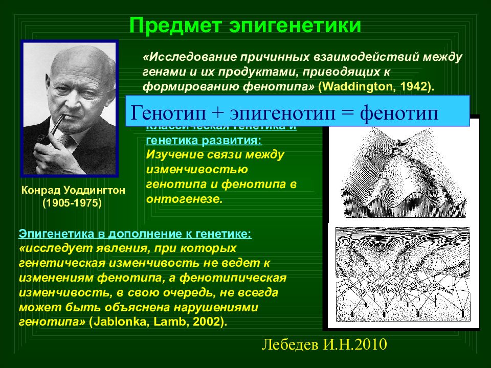 Эпигенетика. Конрад Уоддингтон эпигенетика. Генетика и эпигенетика. Эпигенетика презентация. Эпигенетика ученые.