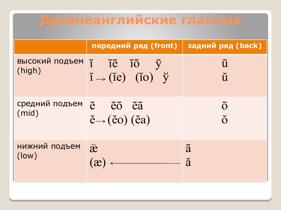 Гласные средне нижнего подъема. Древнеанглийские гласные. Гласные переднего ряда англ. Система гласных древнеанглийского языка. Передний ряд гласных.