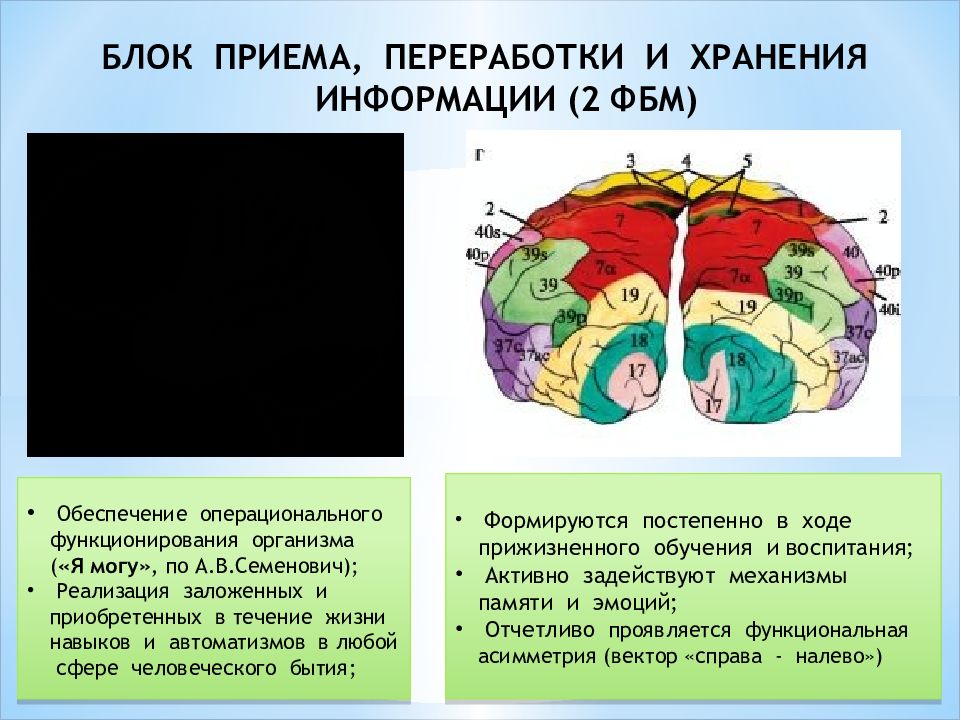 Презентация а р лурия