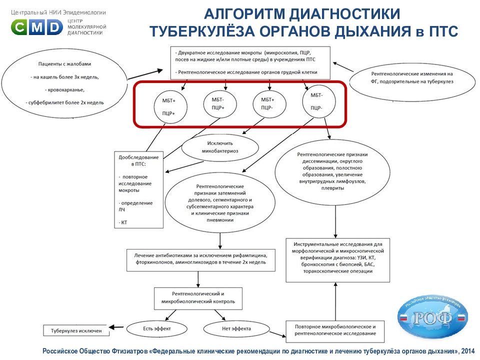 Алгоритм выявления. Алгоритм диагностики туберкулеза. Алгоритм выявления больных туберкулезом. Алгоритм диагностики туберкулезной инфекции. Алгоритм диагностики туберкулеза органов дыхания.