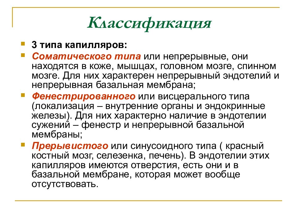 В составе стенки капилляра соматического типа определяются