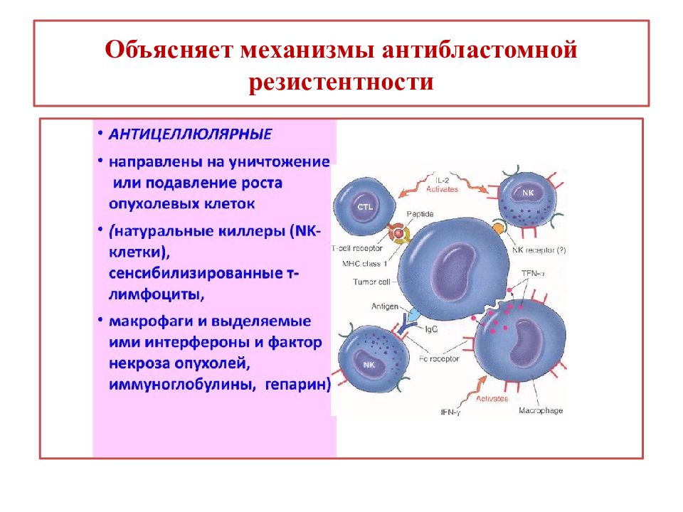 Объясните механизм. Антицеллюлярные механизмы антибластомной резистентности. Антиканцерогенный механизм антибластомной резистентности. Депрессия антибластомной резистентности. Механизмы онкорезистентности.