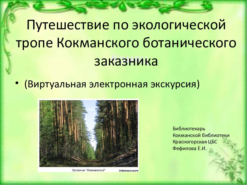 Путешествие по экологической тропе старшая группа презентация