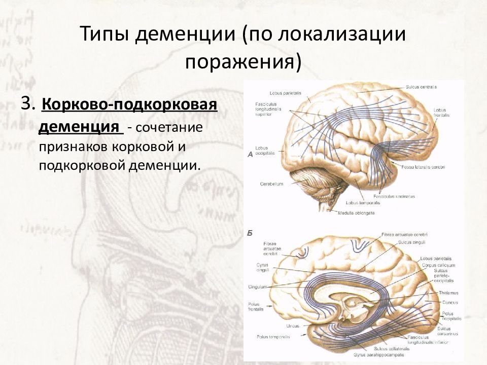 Сосудистая деменция локализация поражения. Корковая и подкорковая деменция. Деменция подкоркового типа. Смешанная корковая и подкорковая деменция.