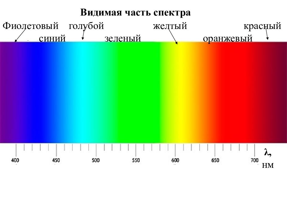 Видимый участок спектра. Спектр видимого света диапазон. Видимый спектр света в нанометрах. Видимый спектр излучения длины волны. Шкала длин волн видимого спектра.