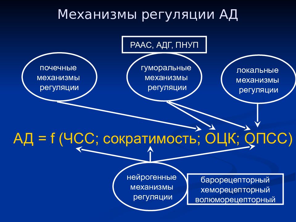 Механизмы регуляции. Механизмы регуляции ад патофизиология. Локальные механизмы РААС. Механизмы регуляции артериальной гипертензии. Механизмы ишемии миокарда патофизиология.