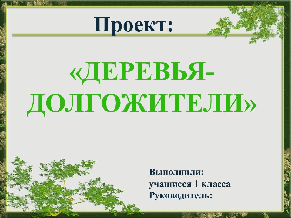 Проект выполнила учащаяся