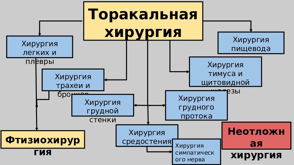 Торакальная хирургия презентация