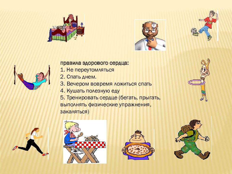 Как работает наше сердце