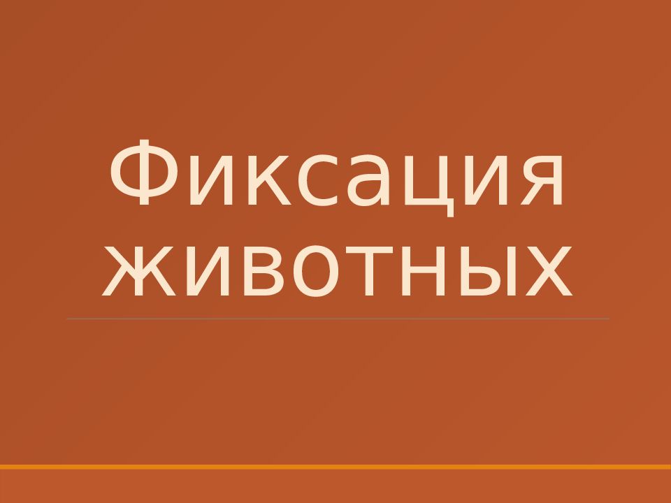 Фиксация животных