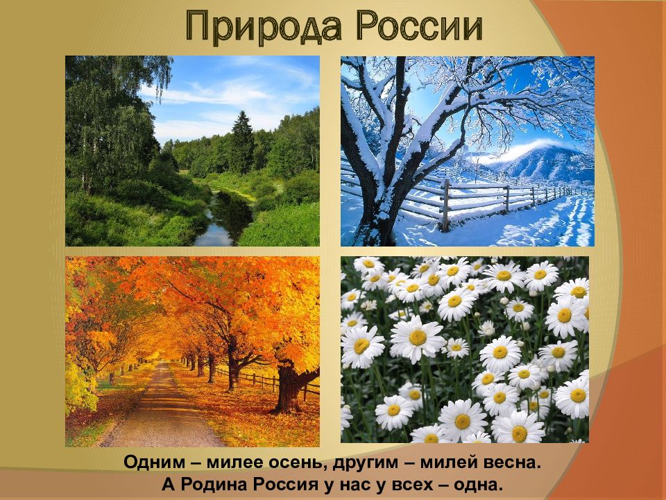 Проект природа россии