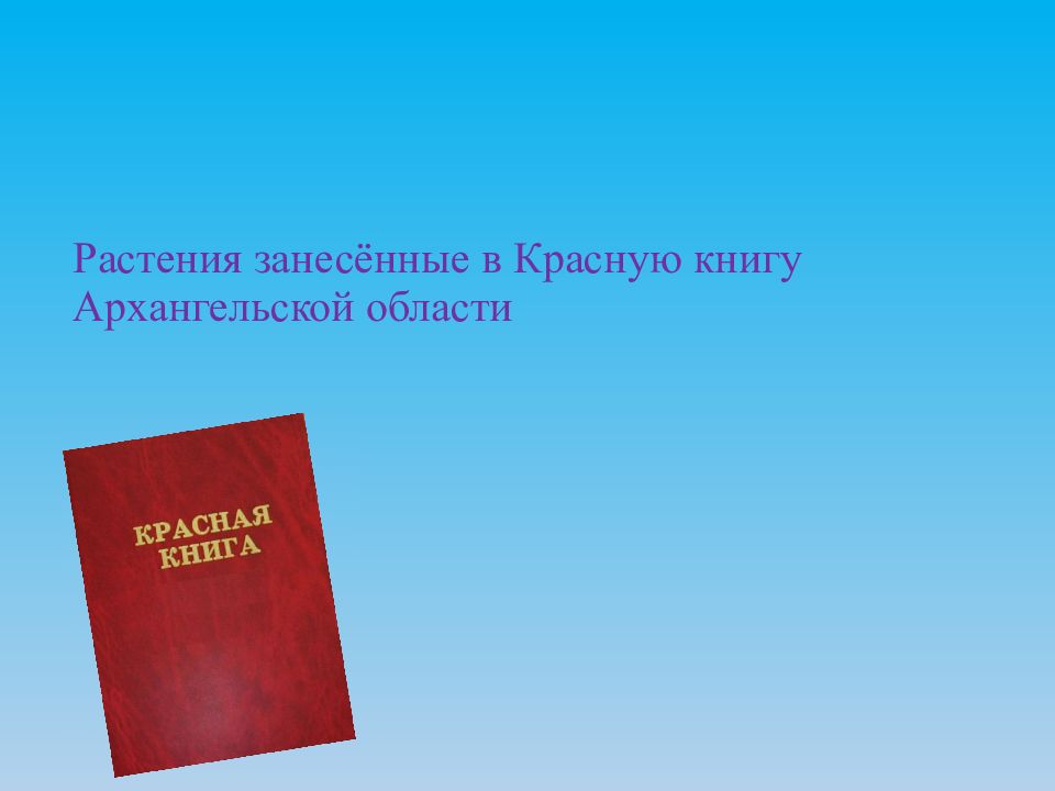 Растения занесённые в Красную книгу Архангельской области