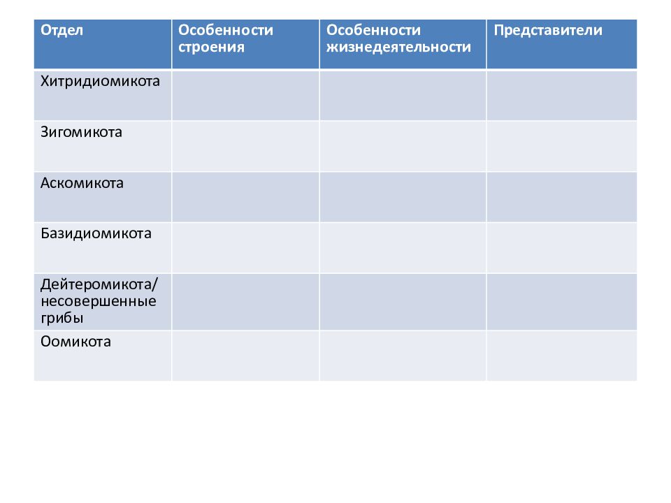 Грибы