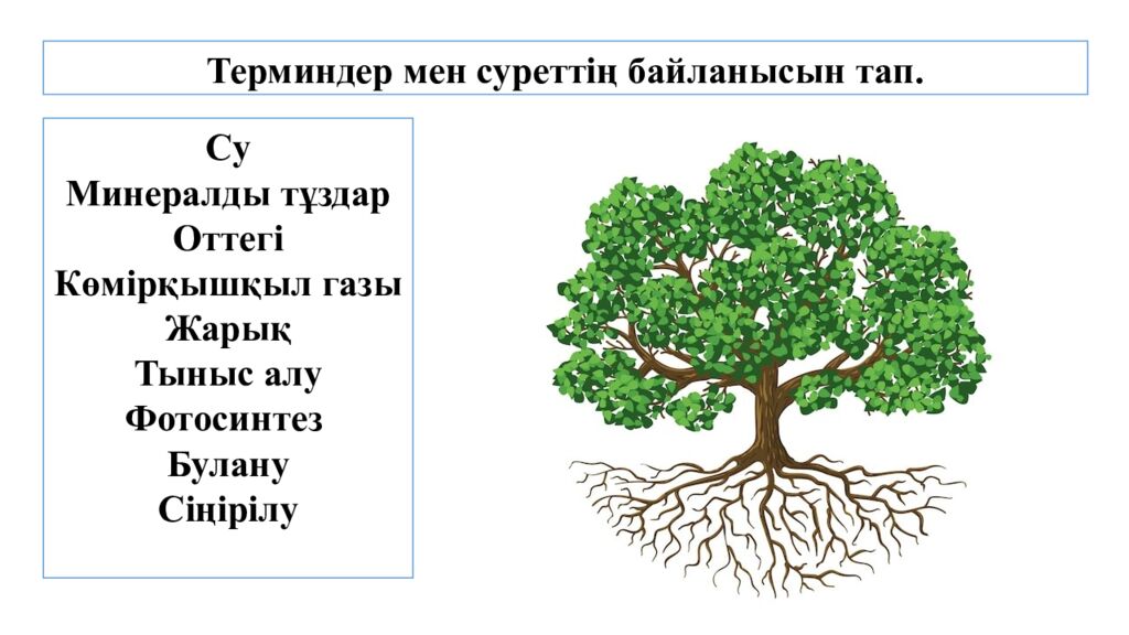 Қоректік заттардың тасымалдануы