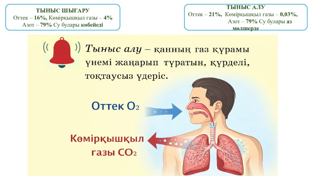 Адал азамат» бағдарламасы аясында жас ұрпақтың бойында ұлттық құндылықтарды