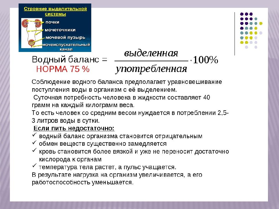 Виды уретральных катетеров презентация