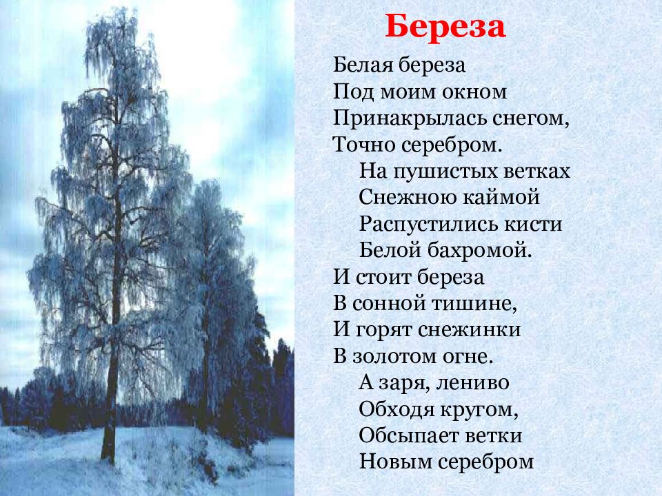 В четвертой строфе стихотворения представлены картины родной природы