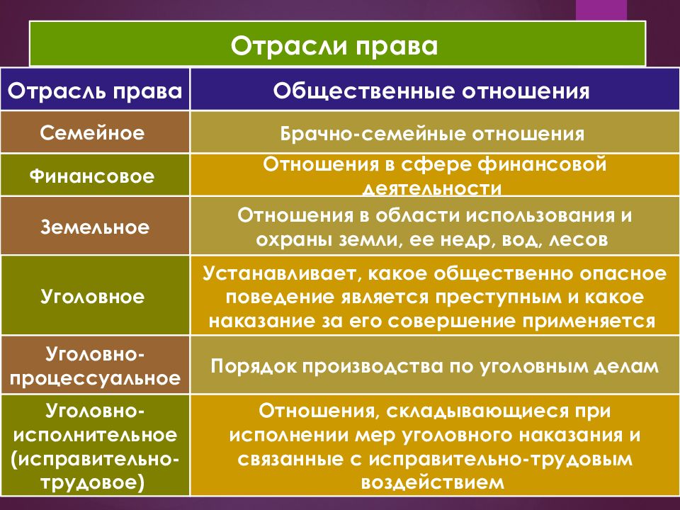 Отметь термин. Таблица отрасль права что регулирует. Привести пример отрасль права=отрасль законодательства. Отрасли российского права. Нормы отрасли права.