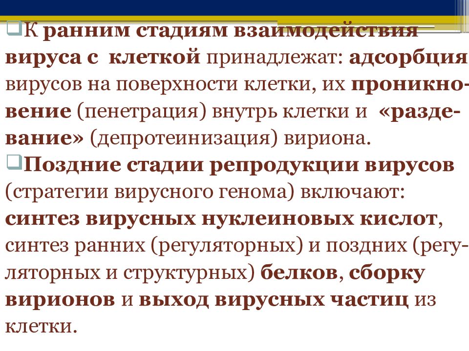 Степени взаимодействия. Адсорбция вируса на поверхности клетки это этап.