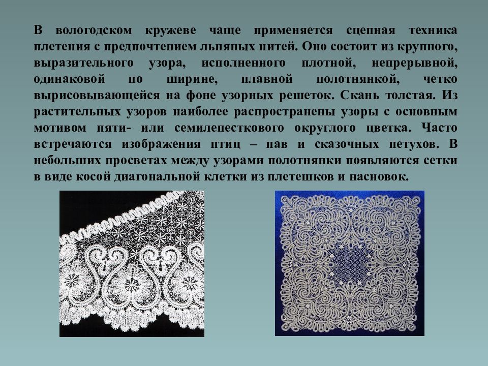 История кружевоплетения. Вологодское кружево растение. Вологодские кружева презентация. Вологодские кружева растение. Парная техника кружевоплетения.