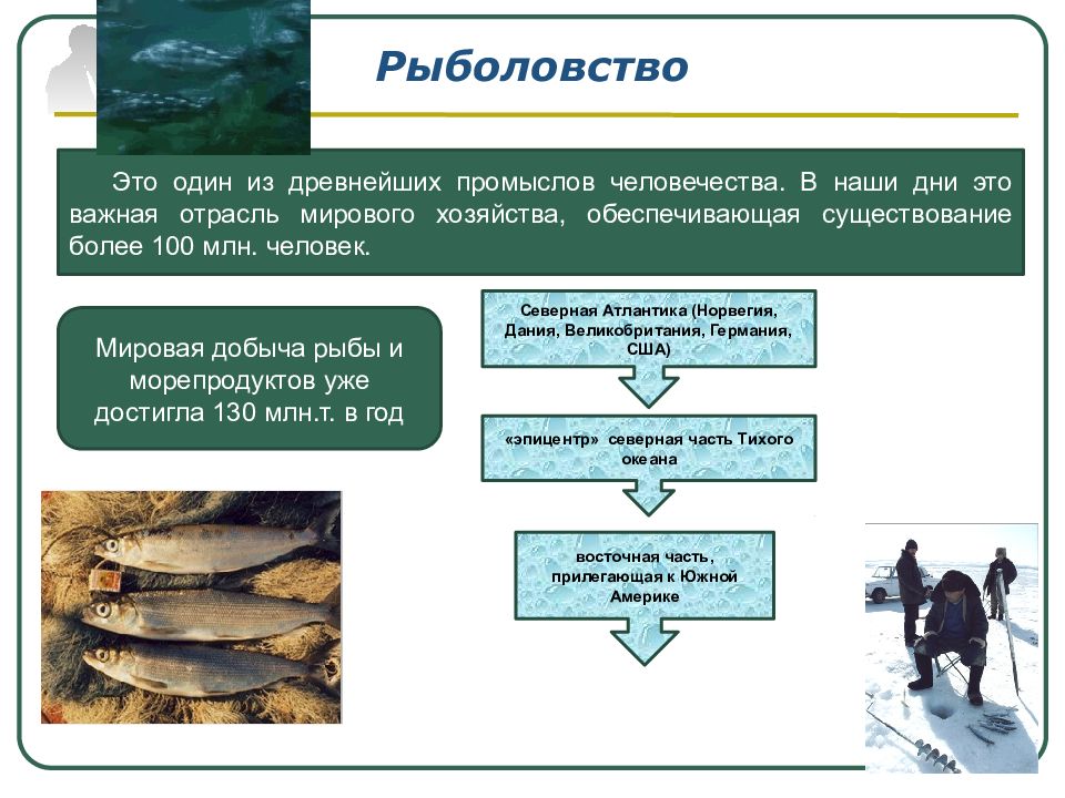 Презентация география отраслей первичной сферы мирового хозяйства