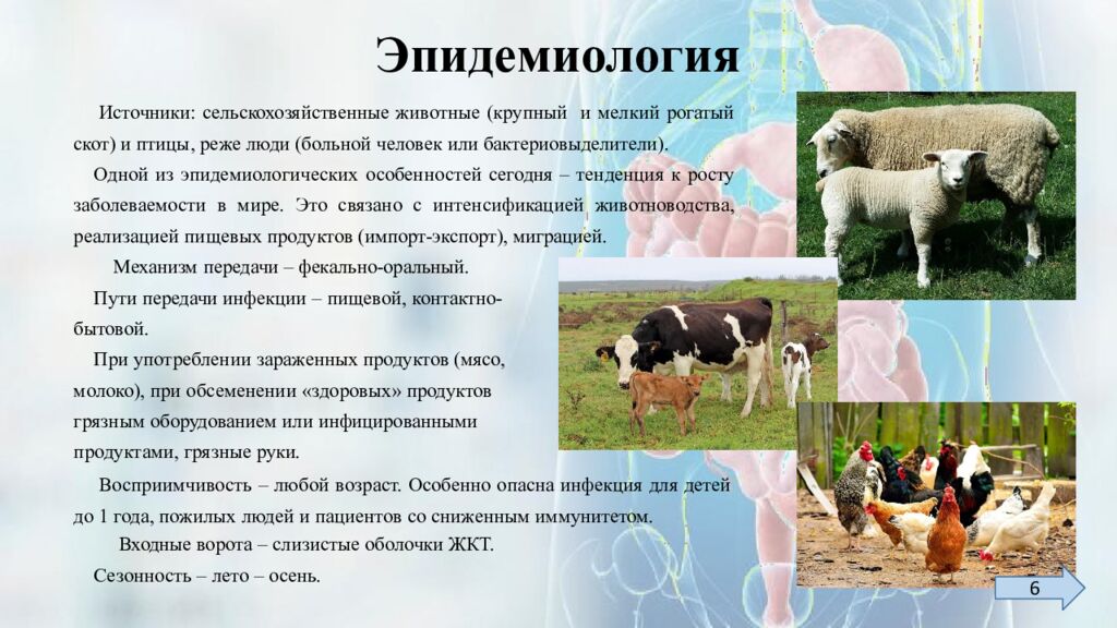 Эпидемиология