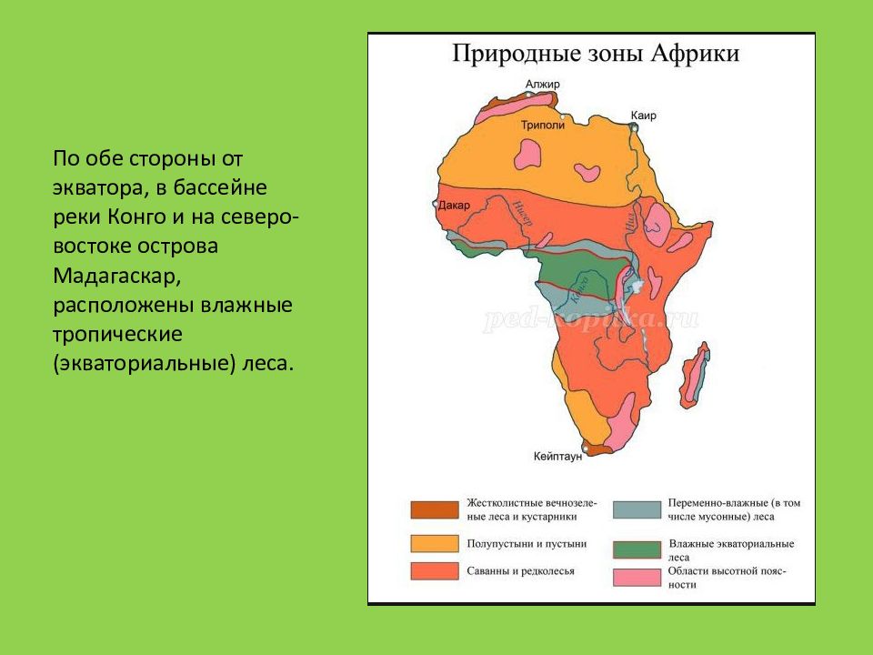 Карта лесов африки