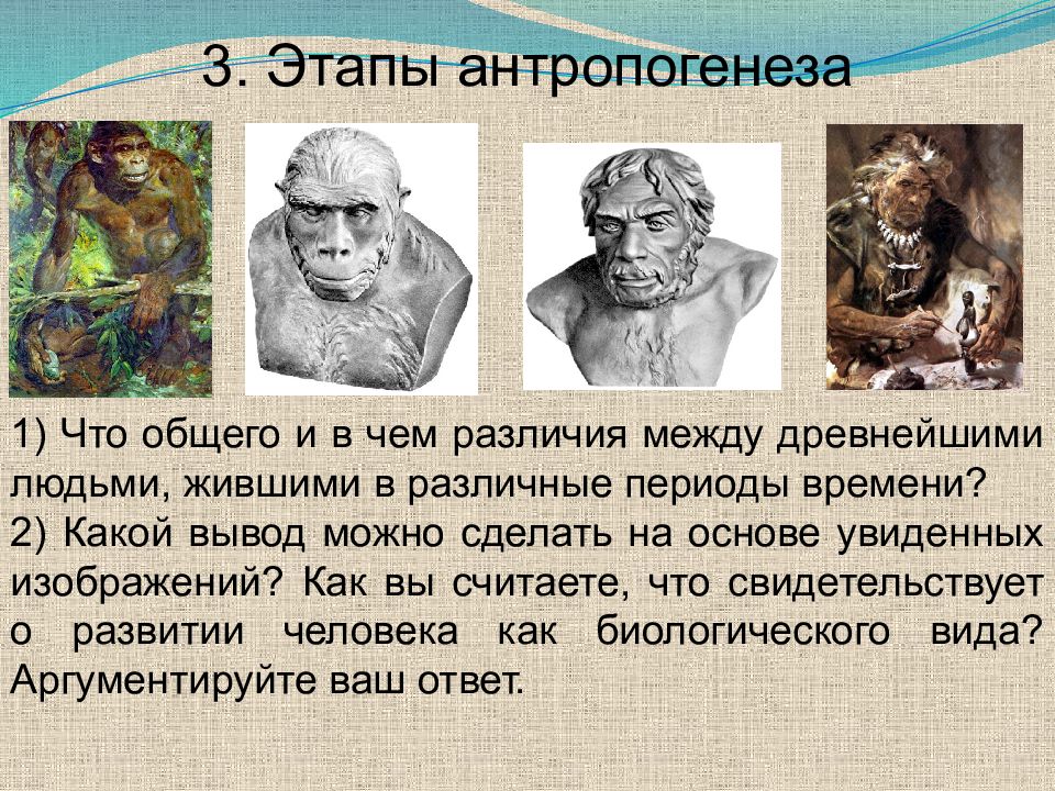 Между древними. Стадии антропогенеза вывод. Этапы антропогенеза вывод. Вывод по стадиям антропогенеза. Математика в разные эпохи.