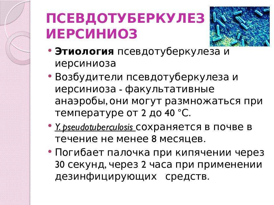 Иерсиниоз. Различия иерсиниоз псевдотуберкулез. Иерсиниоз этиология. Псевдотуберкулез презентация. Иерсиниоз эпидемиология.