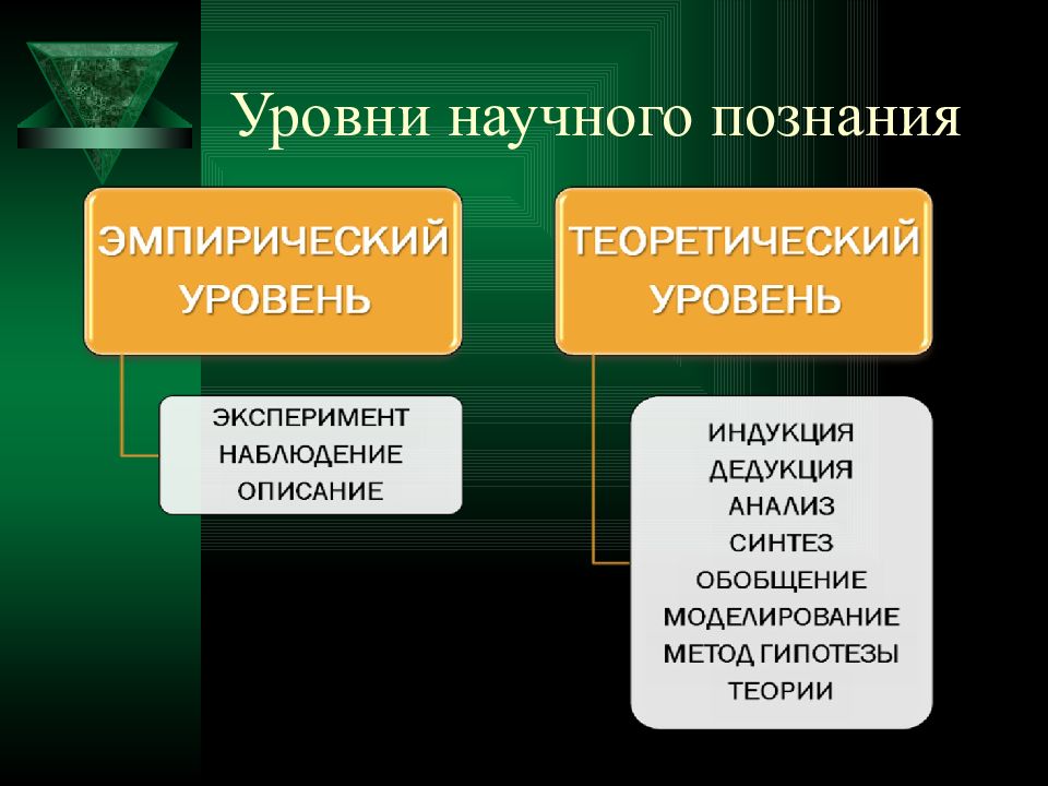 Уровнями научного познания в результате которых формируется научная картина мира являются