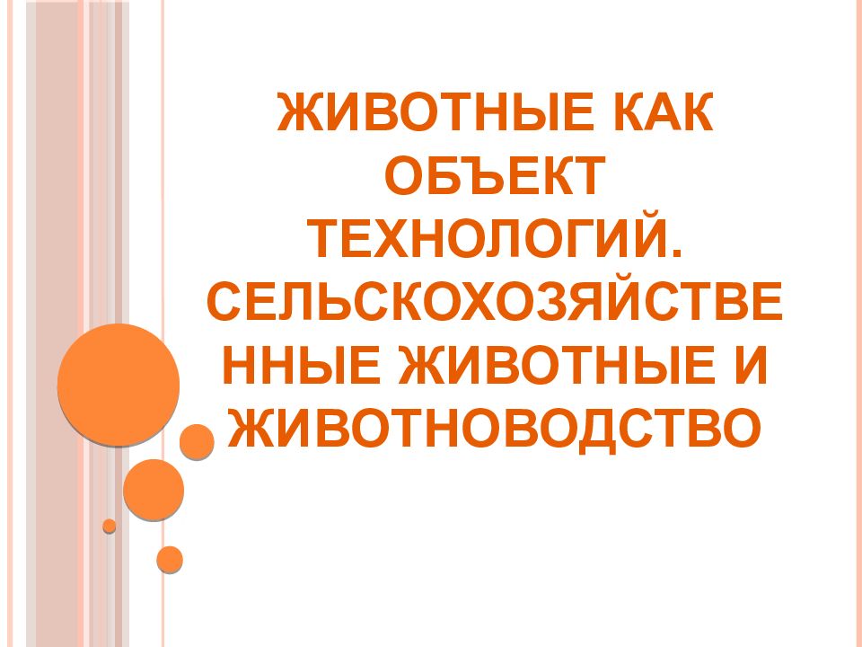 Сельскохозяйственные животные и животноводство 5 класс технология презентация