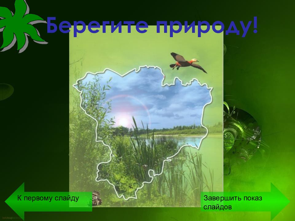 Презентация природные памятники волгоградской области