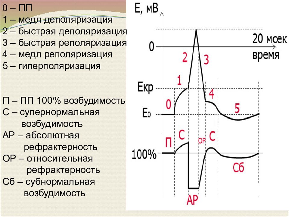 Период действия графика