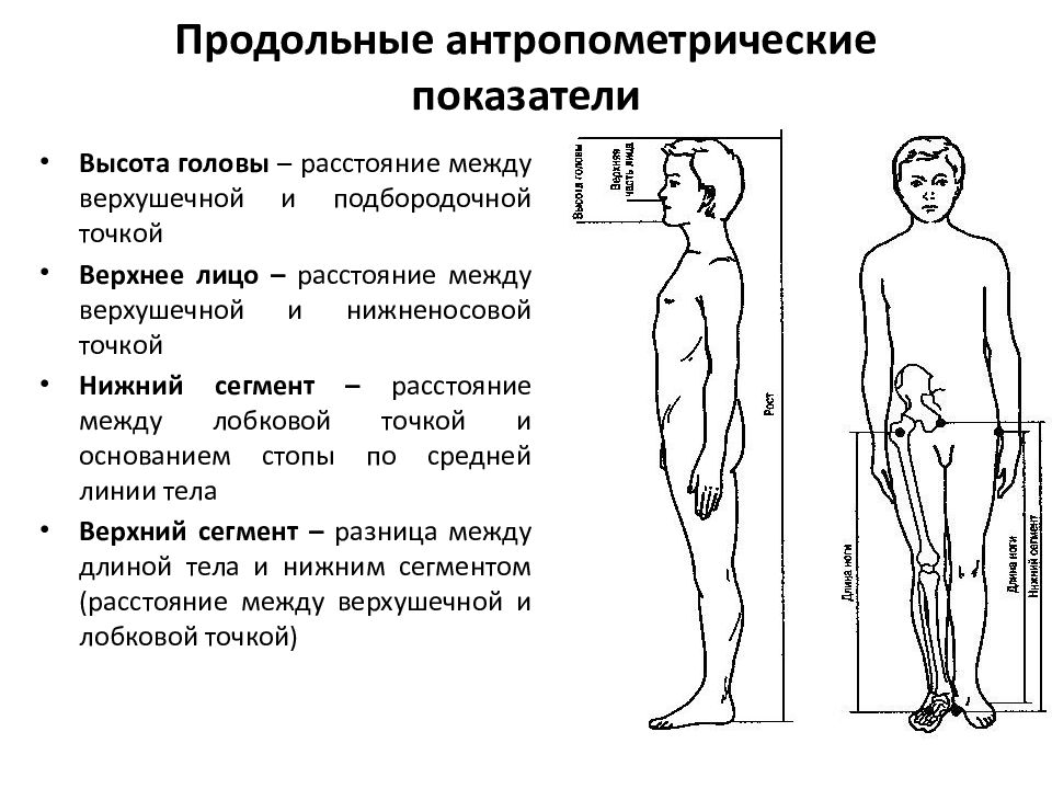 Антропометрические измерения. Антропометрические показатели развития ребёнка. Антропометрические показатели физического развития. Антропометрические характеристики физического развития человека. Антропантические показатели развития детей.